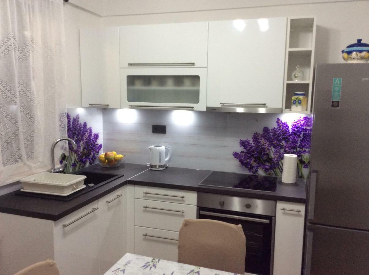 Apartment Karla Snb ロゾヴァック エクステリア 写真